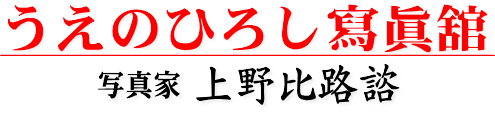 うえのひろし寫眞舘