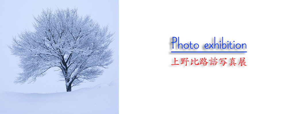 写真展
