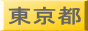 東京モデル